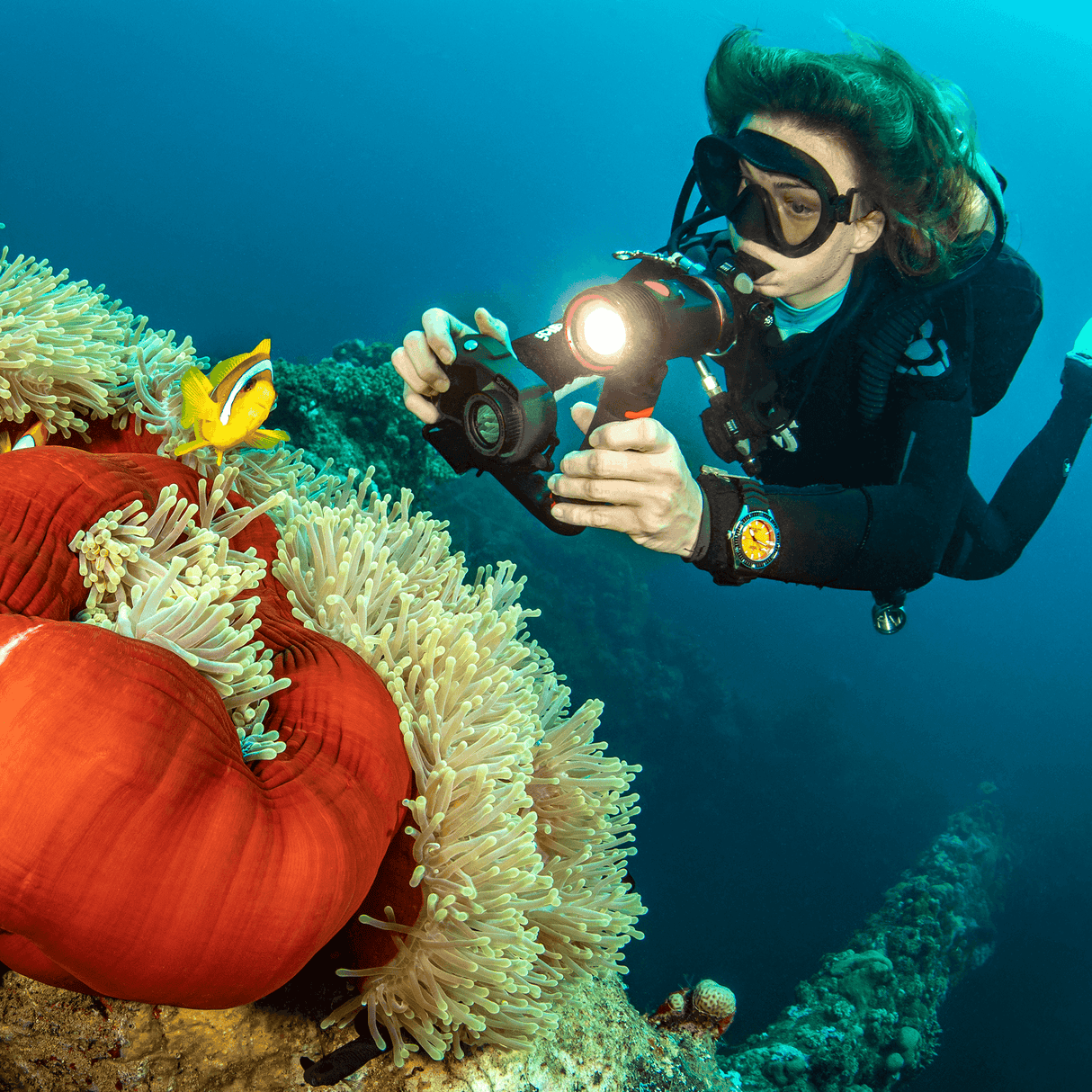 Micro 3.0 Pro 3000 Set - Scuba Grabbers