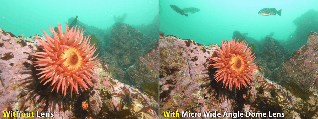 Micro Wide Angle Dome Lens - Scuba Grabbers