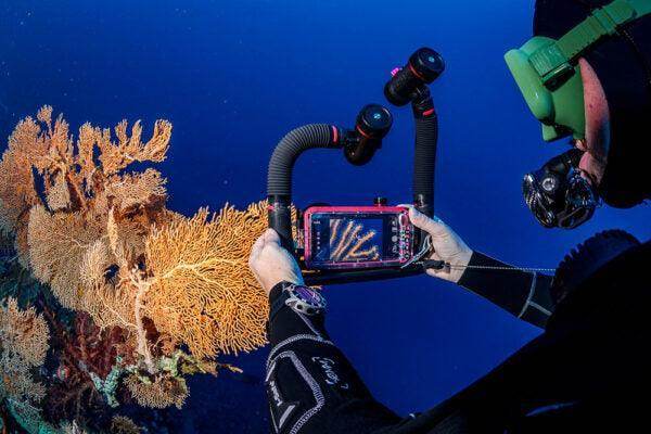 Sea Dragon 3000F - Scuba Grabbers