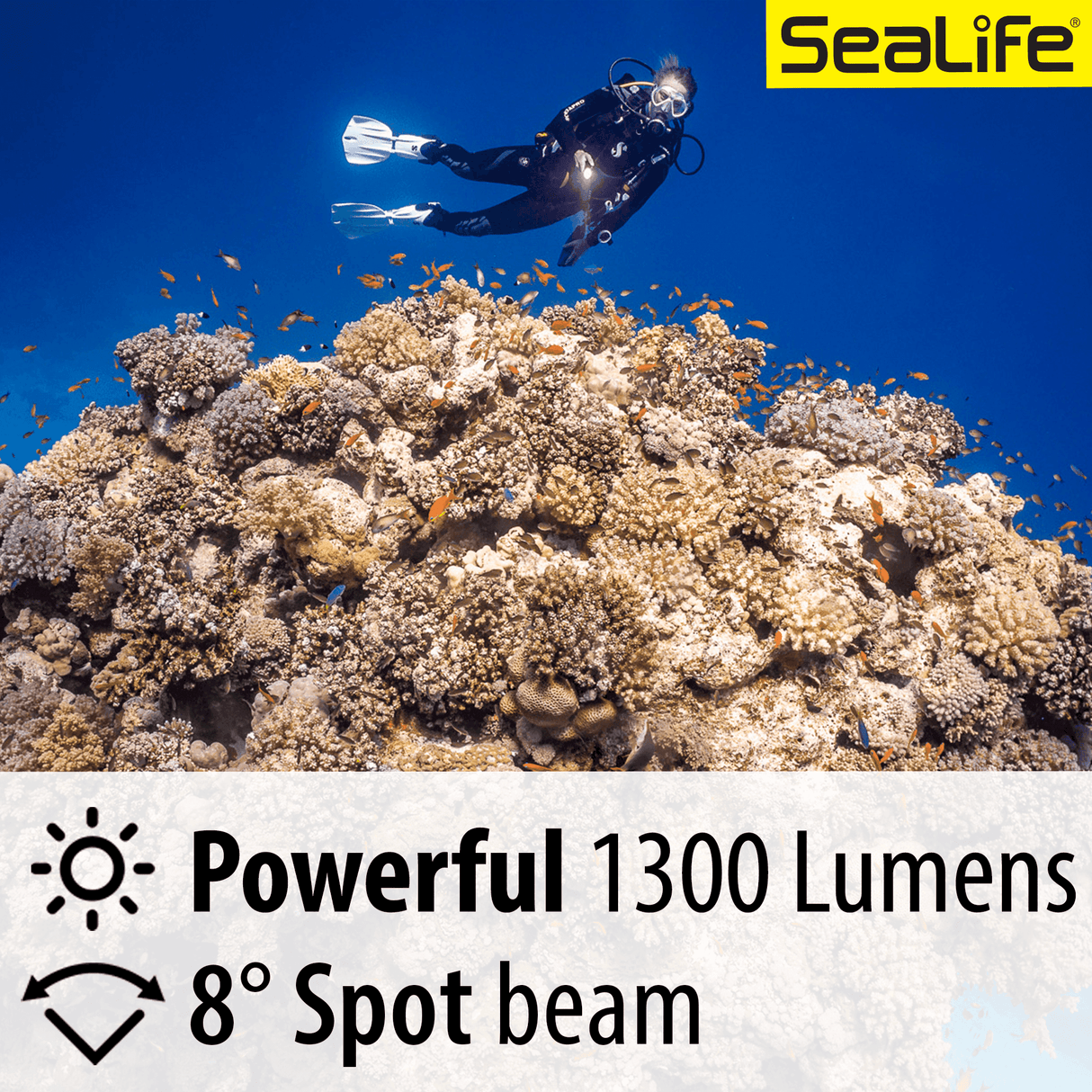 Sea Dragon Mini 1300s Power Kit - Scuba Grabbers