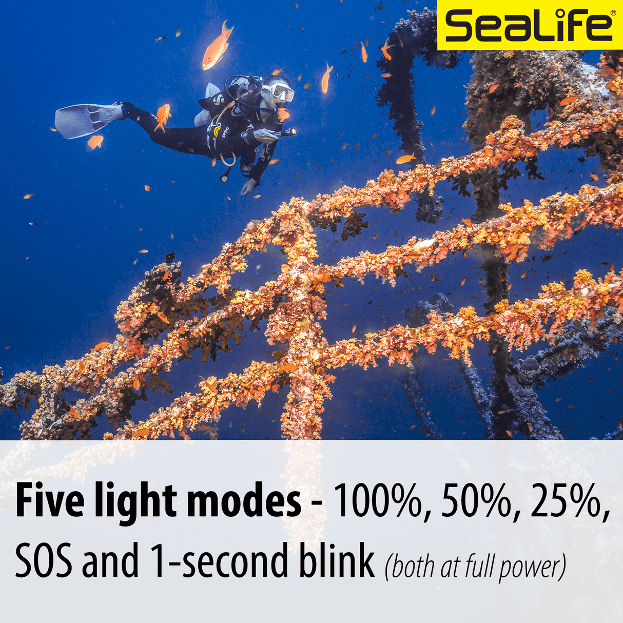 Sea Dragon Mini 1300s Power Kit - Scuba Grabbers