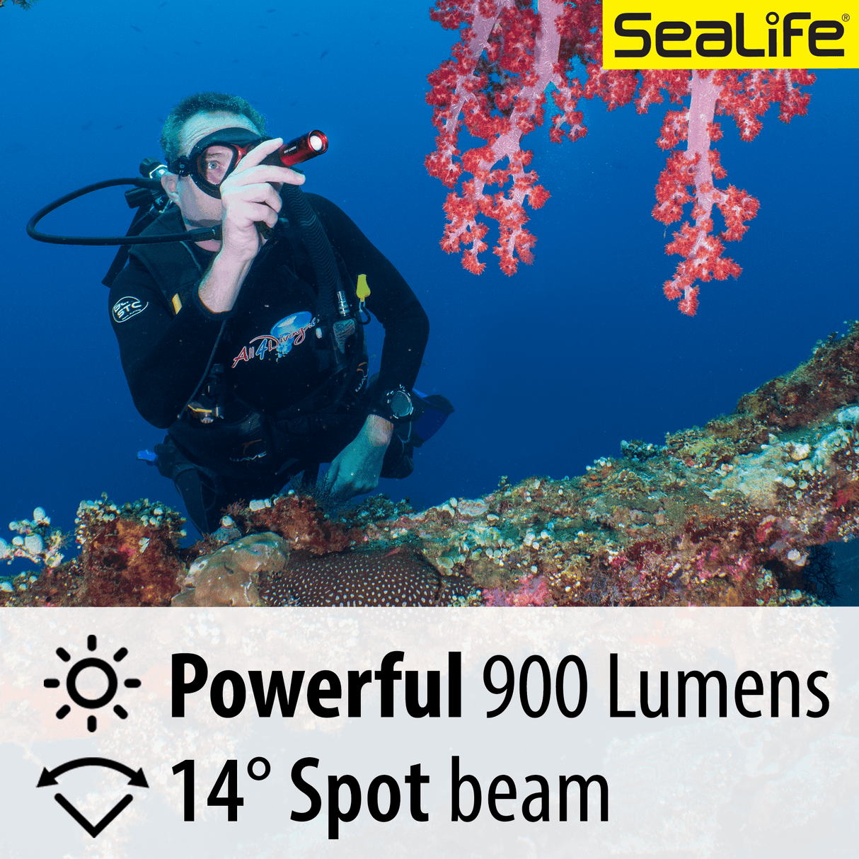 Sea Dragon Mini 900s Power Kit - Scuba Grabbers