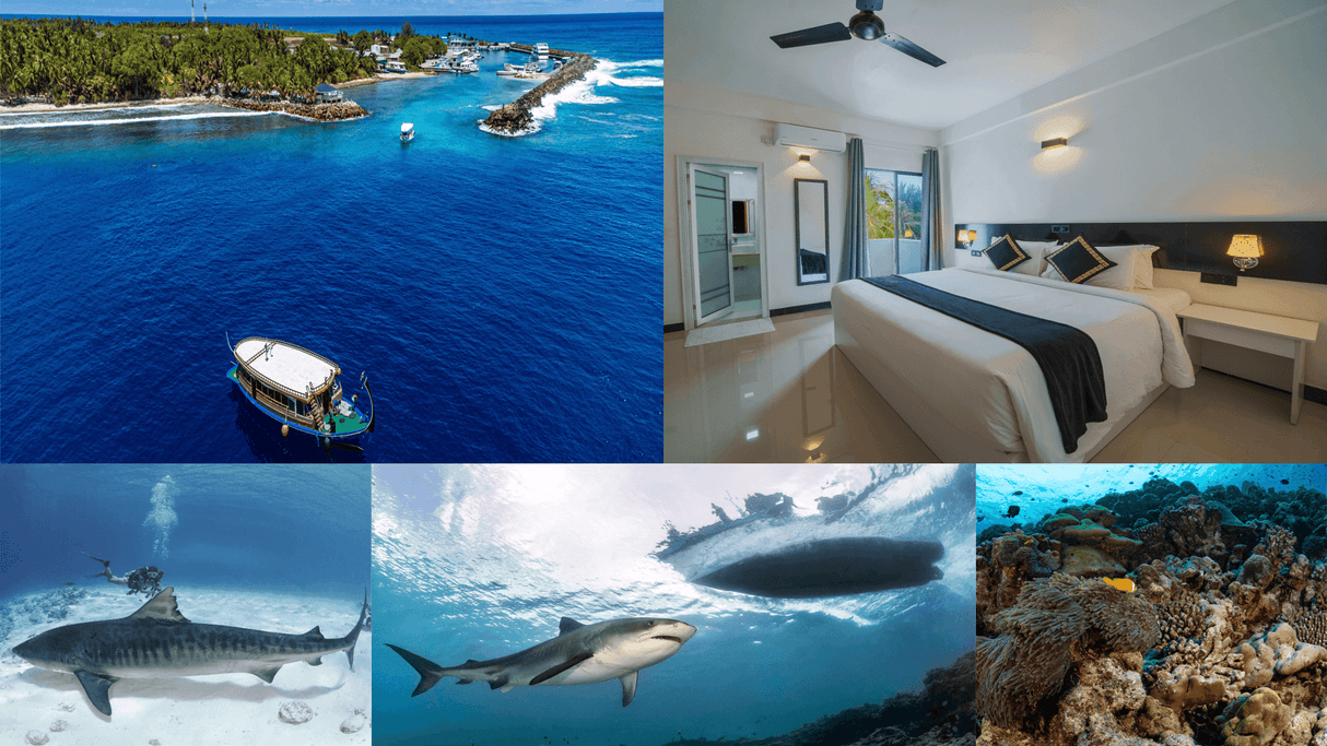 Summer 2024 Maldives Trip - Scuba Grabbers