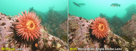 Micro Wide Angle Dome Lens - Scuba Grabbers
